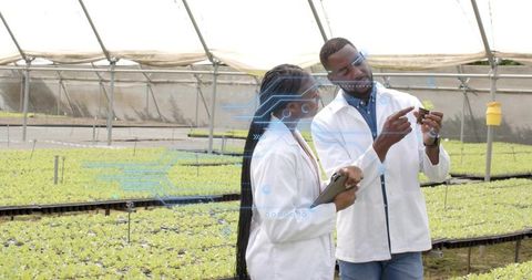 Researchers Analyzing Seedlings with Technology in Sustainable Greenhouse