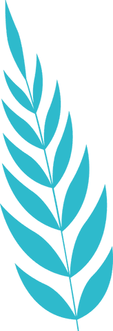 Turquoise stylized leaf branch on transparent background