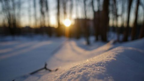 Tranquil Winter Sunrise in Snowy Forest