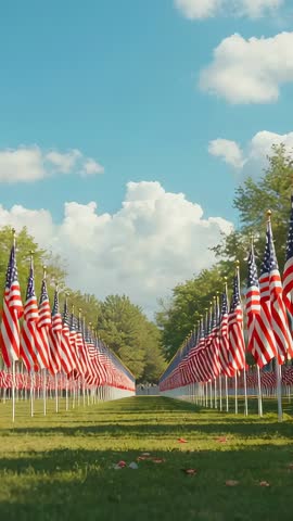 Vertical Memorial Tribute Video Panning Down Aisle of American Flags in Symmetrical Rows