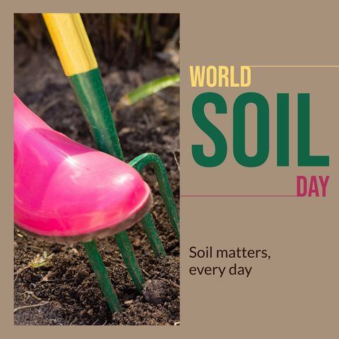 celebrating world soil day on soil health and sustainability - Download Free Stock Templates Pikwizard.com