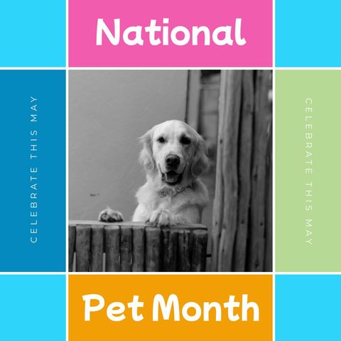 Joyful National Pet Month Celebration with Happy Dog Greeting