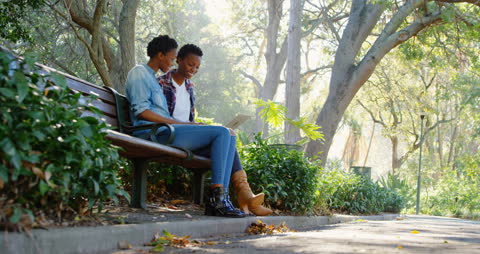 African American Sisters Using Laptop in Park on Sunny Day