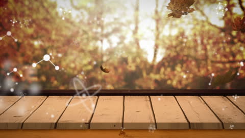 Autumn Leaves Floating in Acoustic Abstract Display