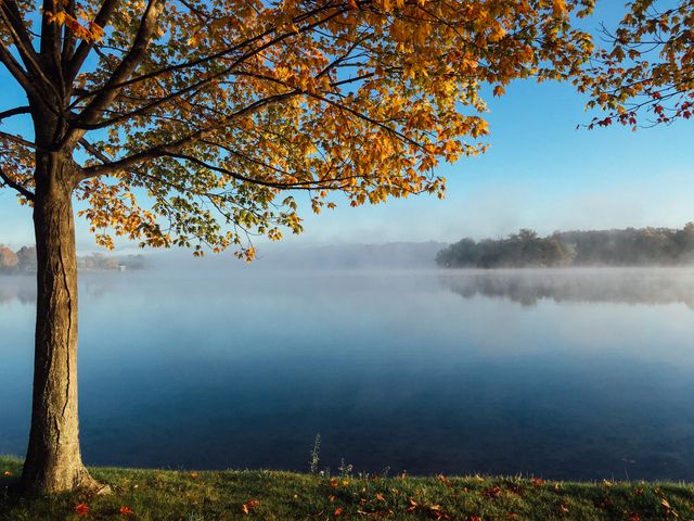 Serene Autumn Morning by Calm Lake - Download Free Stock Photos Pikwizard.com