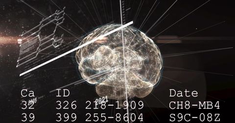 Translucent holographic brain rotating on timeline axis with dynamic id codes overlay
