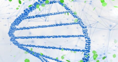 DNA Helix Amongst Futuristic Networks with Clover Leaves