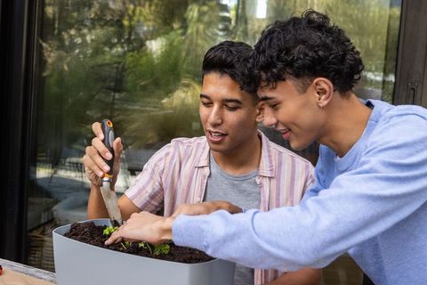 Male friends planting seedlings together in rectangular planter on patio