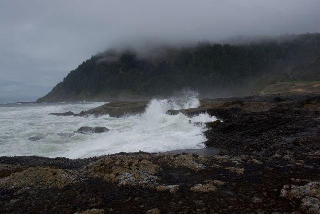 Ocean waves are forcefully crashing against the rugged, rocky shoreline under a thick cloud cover, with a forested hillside shrouded in mist in the background. This image captures the dramatic and untamed beauty of nature, ideal for use in travel brochures, coastal conservation campaigns, and outdoor adventure advertisements.