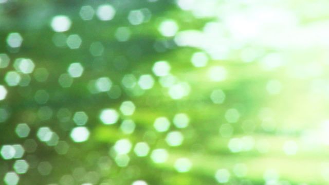 Bokeh style with glowing hexagon lights against a green nature background. Perfect for use on nature-themed designs, backgrounds for web and graphic design projects, presentations, or wallpaper. It evokes a sense of relaxation and calmness.