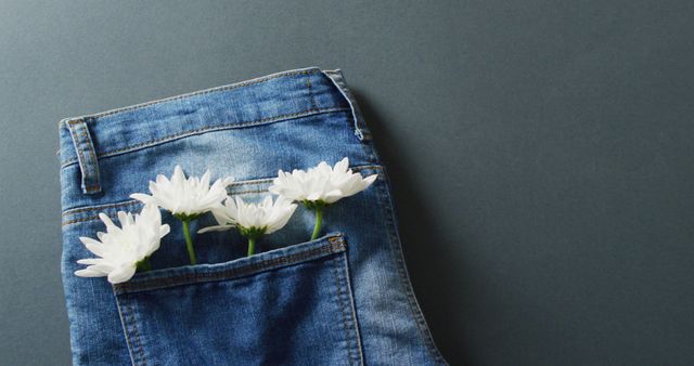 White flowers tucked into the back pocket of blue denim jeans lying on a gray surface. Symbolizing casual style, minimalism, and creativity, this can be used for fashion, spring, or summer themes in advertising, blogs, or social media posts.
