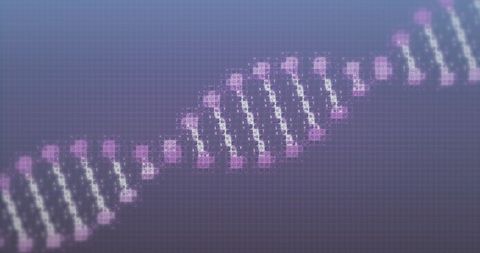 Digital Representation of DNA Strand on Purple Background - Download Free Stock Images Pikwizard.com