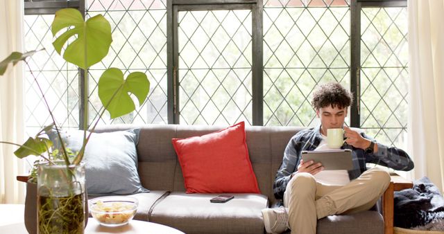 Young Man Enjoying Coffee While Using Digital Tablet on Couch - Download Free Stock Images Pikwizard.com