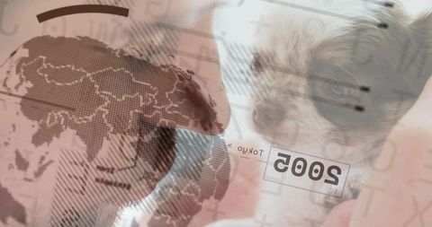 Owner holding puppy with global connectivity and technology themes