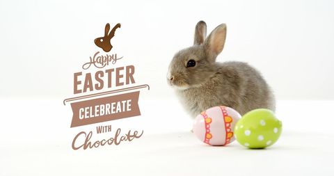 Adorable Easter Bunny with Colorful Eggs and Festive Text - Download Free Stock Images Pikwizard.com