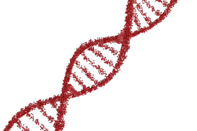 Transparent Red DNA Double Helix Model on Black Background - Download Free Stock Videos Pikwizard.com