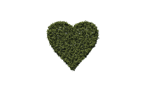 transparent heart shaped grass illustration isolated nature themed - Download Free Stock Videos Pikwizard.com