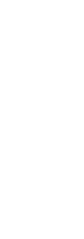 Silhouette of Athlete's Victory Pose on Transparent Background