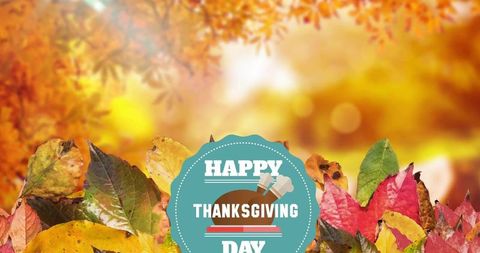 Teal thanksgiving badge over colorful autumn leaves with sunlit bokeh background