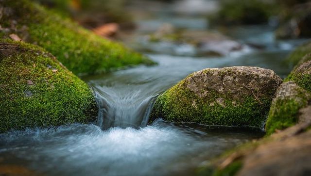Flowing narrow cascade over moss-covered rocks in tranquil forest creek long exposure