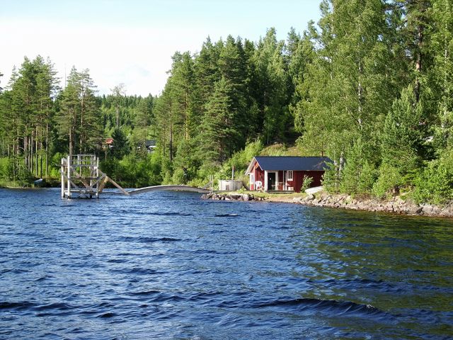 Lakefront cabin offers tranquil view surrounded by dense forest and lush greenery. Perfect for nature retreats, outdoor relaxation, or showcasing the peaceful beauty of wilderness life. Ideal for summer vacation promotions, real estate listings, or environmental blogs highlighting nature's scenery.