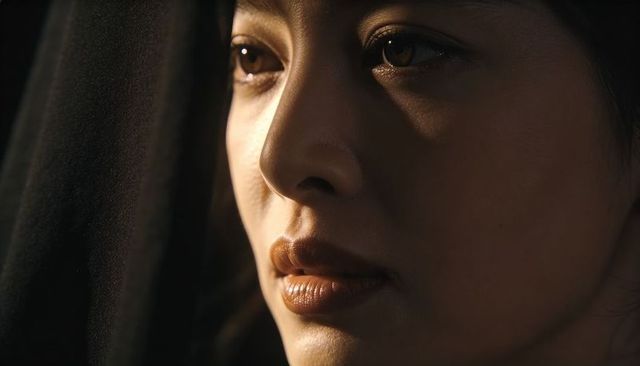 Gazing asian woman in dark veil with moody low-key portrait and subtle makeup