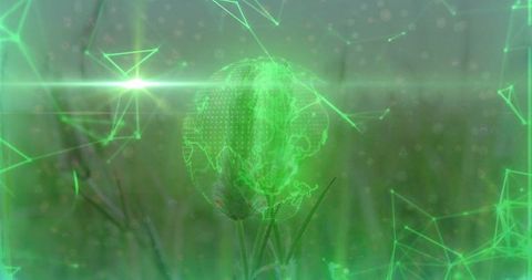 Futuristic earth hologram in green technological field