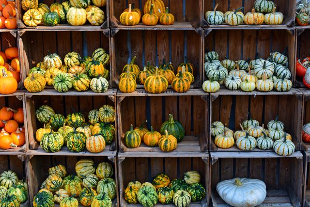 A visually eye-catching assortment of various gourds and pumpkins displayed in wooden crates at a market. Vibrant autumn colors include yellow, orange, green, and white. This image evokes the festive and abundant spirit of the fall harvest season. Ideal for use in blogs or articles about fall décor, farm markets, agriculture, seasonal recipes, or harvest festivals. Suitable for use in marketing materials and social media posts promoting fall events and seasonal produce.