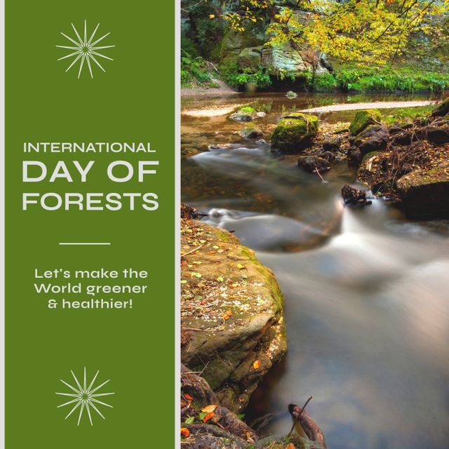 Celebrating International Day of Forests with Scenic Stream in Forest - Download Free Stock Templates Pikwizard.com