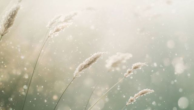 Swaying pale wild grass plumes in misty meadow with soft bokeh light and pastel tones