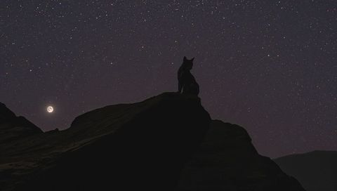 Lone Wolf Silhouette Perching on Rocky Outcrop Under Moon and Star-Filled Night Sky