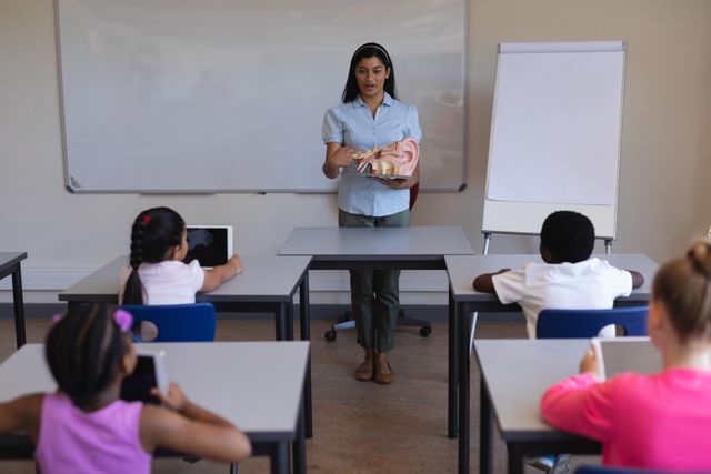 Female teacher standing in front of classroom holding an anatomy model, explaining body parts to attentive elementary school students. Ideal for educational content, school brochures, science lesson illustrations, and teaching materials.