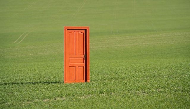 Orange door standing in green field casting long shadow for surreal portal concept
