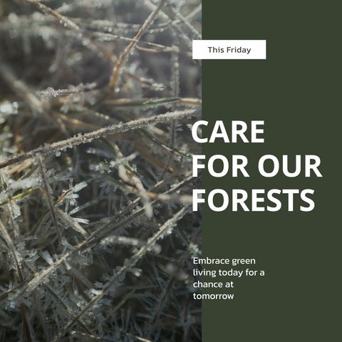 frosty branches and forest conservation awareness message - Download Free Stock Templates Pikwizard.com