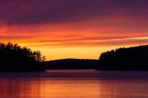 Glowing Purple and Orange Lake Sunset Silhouetting Pine Forest Over Reflective Water
