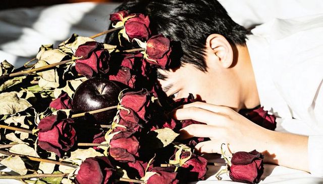Man lying among withered red roses reaching for black apple, moody bedroom still life