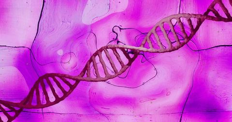 Rotating Red DNA Strand Over Purple Background - Download Free Stock Images Pikwizard.com