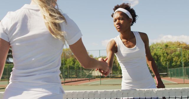 Two female tennis players shaking hands over the net in a show of sportsmanship after a match. Great for use in articles about sportsmanship, tennis, fitness, women's sports, and healthy competition.