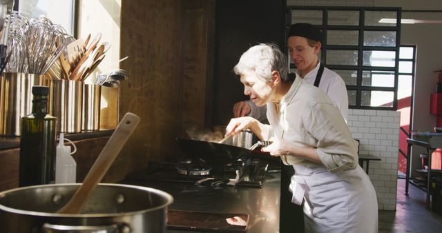 Senior Female Chef Cooking in Professional Kitchen with Young Assistant - Download Free Stock Images Pikwizard.com