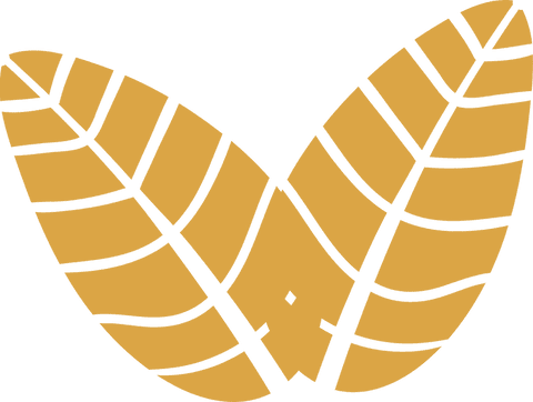 art deco gold leaves in v shape on transparent background - Download Free Stock Videos Pikwizard.com
