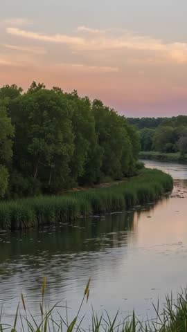 Vertical dusk river footage sun sinking behind trees sending ripples, pink sky reflecting