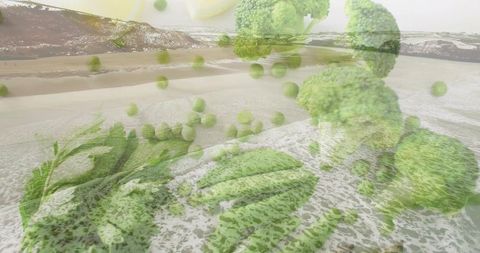 Double-exposure vegetables over coastal seascape for wellness and sustainability