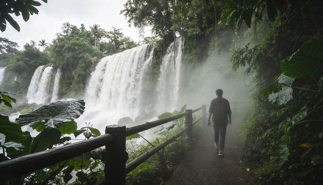 Hiker walking misty rainforest boardwalk beside powerful cascading waterfall