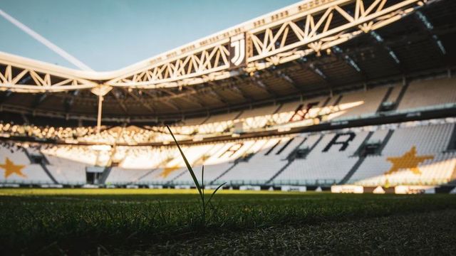 Highlighting lone grass sprout on football pitch with sunlit steel trusses and star seats