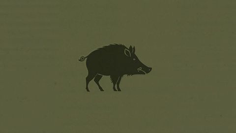Minimalist Wild Boar Silhouette on Olive-Green Background