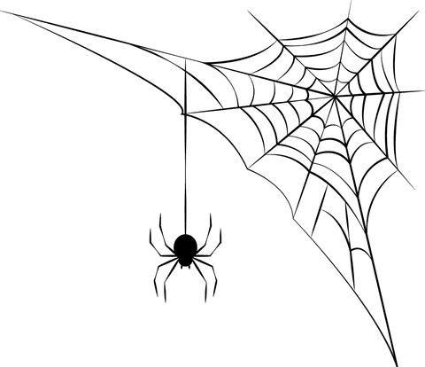 transparent black spider vector with web on isolated background - Download Free Stock Videos Pikwizard.com
