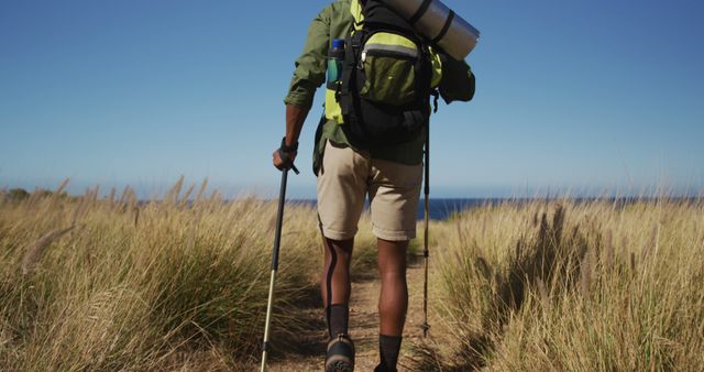 Person hiking through grassy field towards the ocean. Useful for ads on outdoor activities, travel blogs and magazines, or anyone promoting adventure and nature exploration.