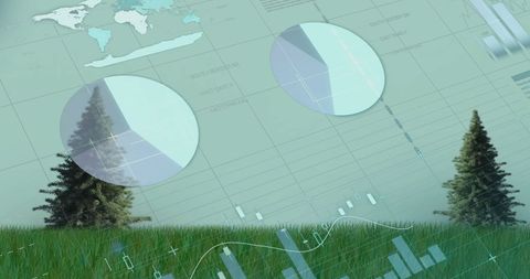 Digital Financial Data Visualization with Nature