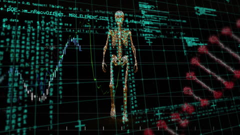 Digital DNA and Human Model in Data Environment