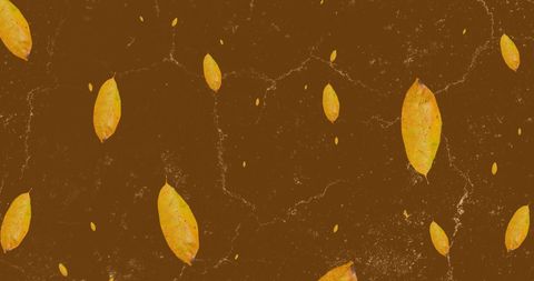 Falling autumn leaves against organic marble pattern background